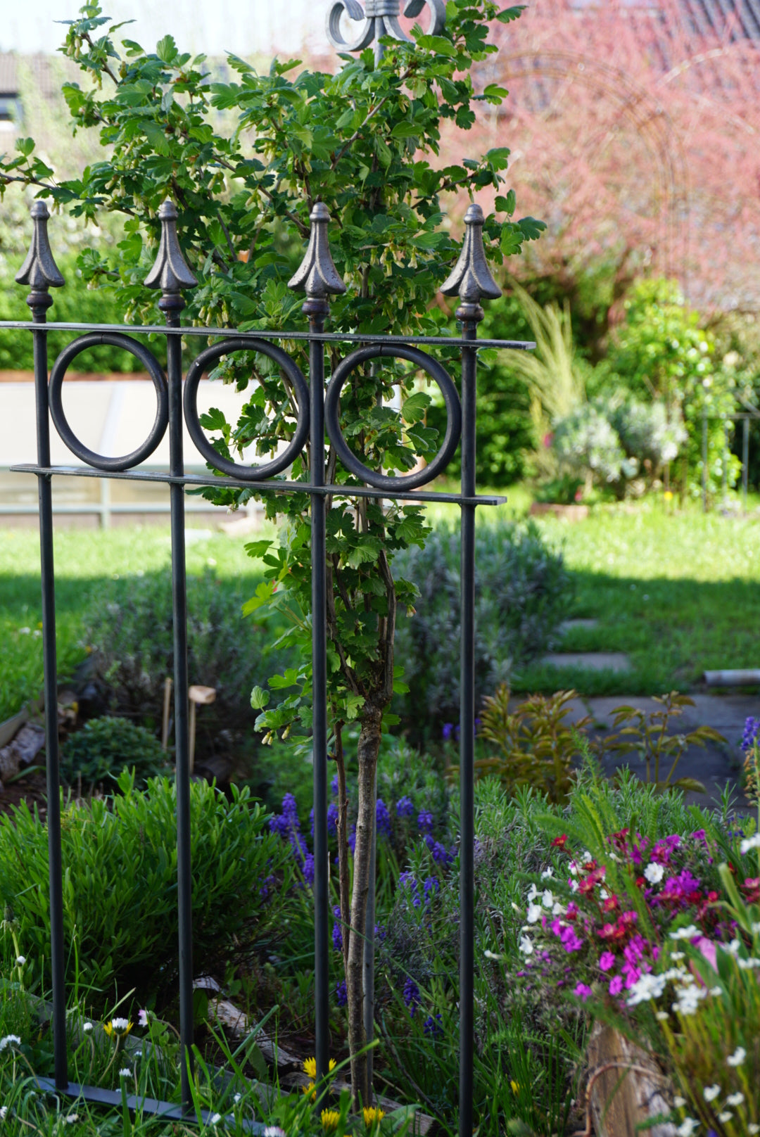 Steckzaun Belluno in pulverbeschichtet Anthrazit in einem bepflanzten Beet