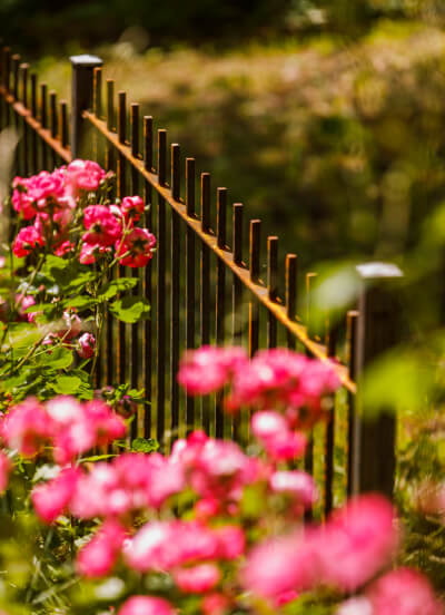 Zaun Padua hinter Blumen | Unbeschichtet
