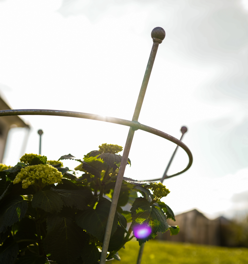 Pflanzenstütze Grosetto als Detailansicht | Feuerverzinkt