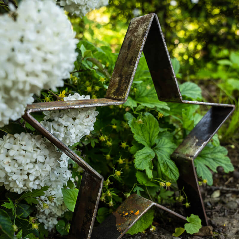 Metallstern Novara klein vor Blumen | Unbeschichtet
