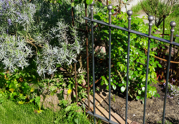 Recinzione a innesto nel giardino: vantaggi, possibilità di utilizzo e limiti