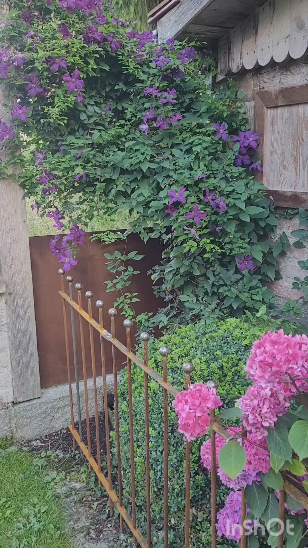 Steckzaun Ancona in unbeschichtet in einem Beet mit pinken Blumen